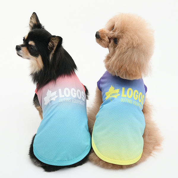 LOGOSサマーグラデメッシュタンクを着ている犬2匹