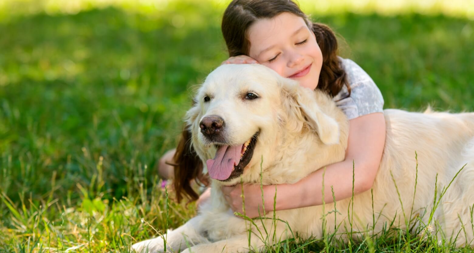 愛犬との散歩で大切なこと！お役立ち情報＆おすすめグッズも