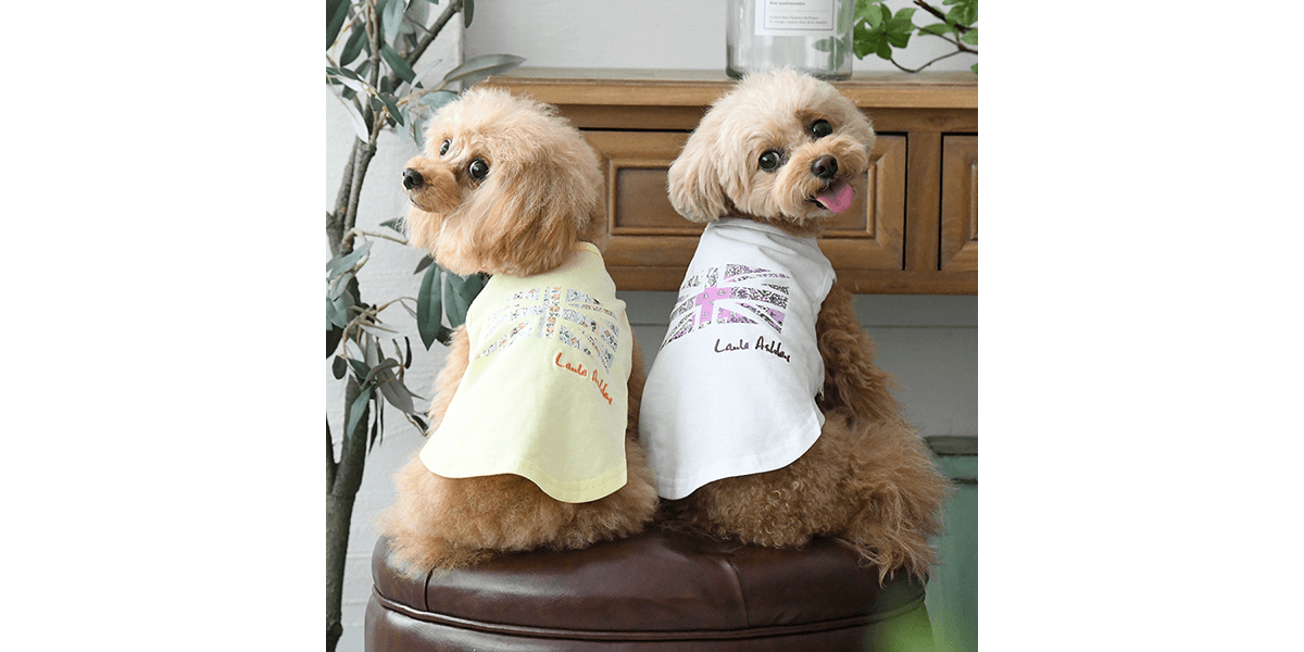 Calulu（カルル）の犬服を着たトイプードルとチワワ達