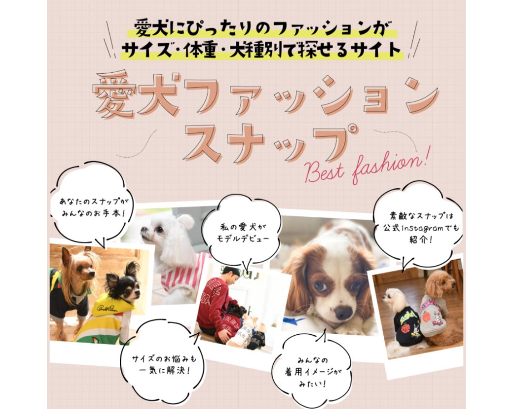 愛犬ファッションスナップ（愛犬ファッション図鑑）