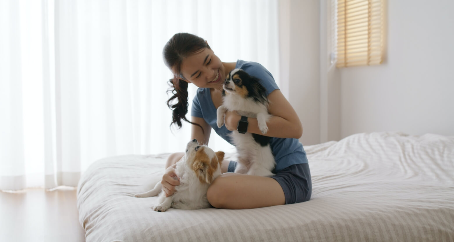 飼い主が2匹のチワワを抱いている写真