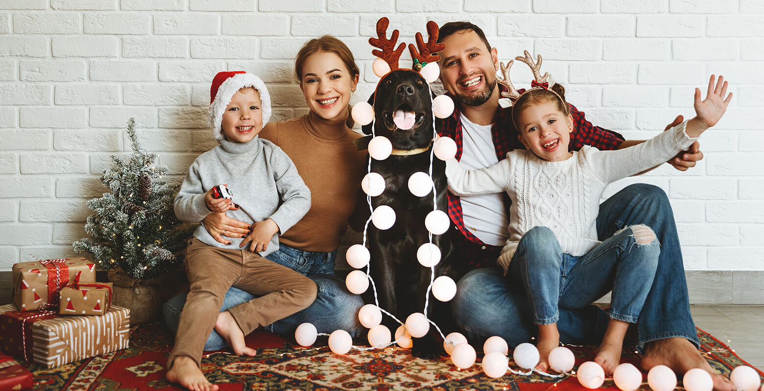 愛犬とのクリスマスを楽しもう！プレゼント選びのポイントや、おすすめの犬服をご紹介
