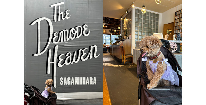 DEMODE HEAVEN（デモデヘブン）