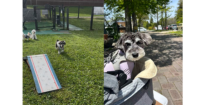 軽井沢プリンス・ショッピングプラザ