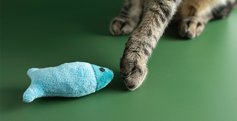 お魚のおもちゃで遊ぶ猫の前足