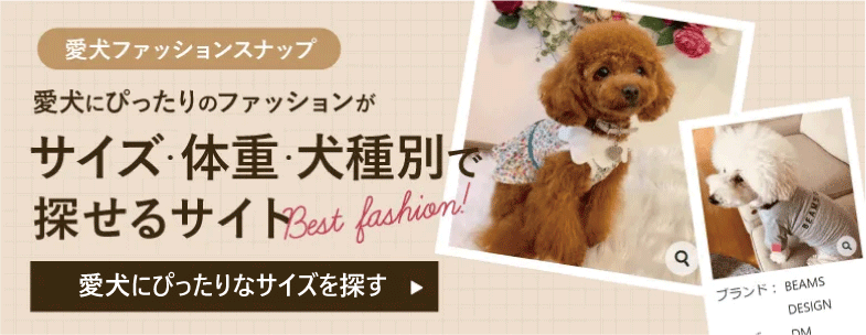 愛犬ファッションスナップ・ファッション図鑑
