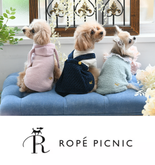 ropepicnic