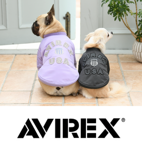 avirex