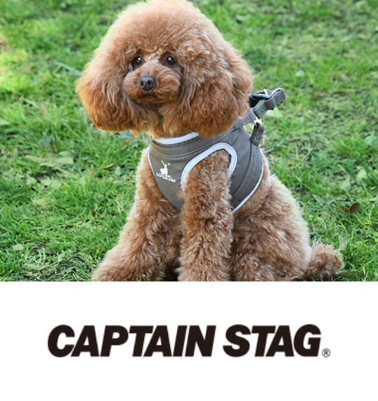 captainstag