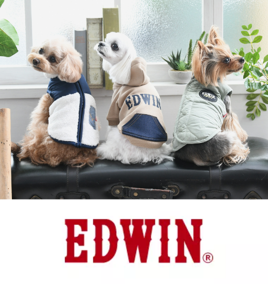 edwin