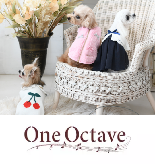 oneoctave