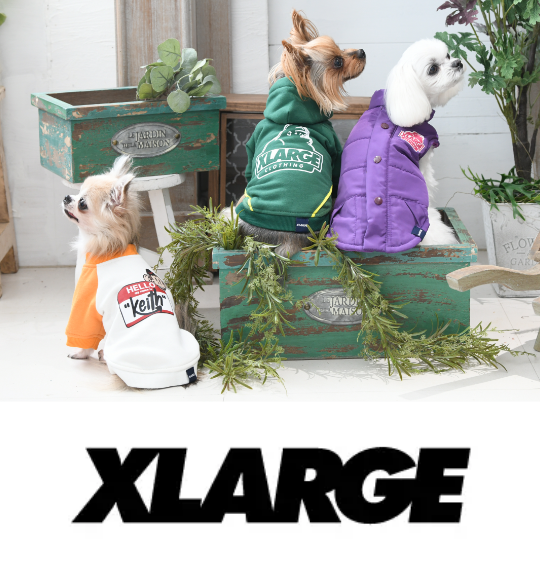 xlage