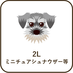 size_2l