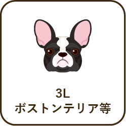size_3l