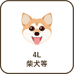 size_4l