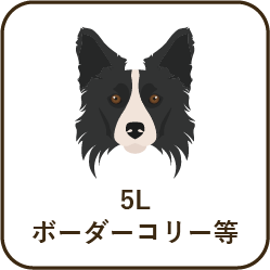 size_5l