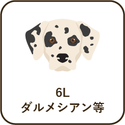 size_6l