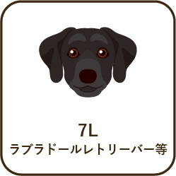 size_7l