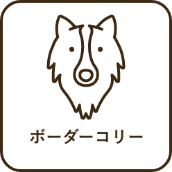 ボーダーコリー服_5Lサイズ