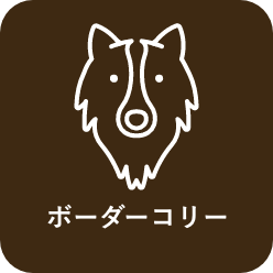 犬服のサイズについて 犬服 ドックウェアcalulu カルル