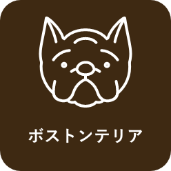 犬服のサイズについて 犬服 ドックウェアcalulu カルル