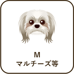 size_m