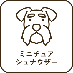 犬服 ドッグウェアブランド専門店 Calulu カルル 公式ペット用品通販サイト