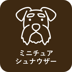 犬服のサイズについて 犬服 ドックウェアcalulu カルル