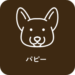 犬服のサイズについて 犬服 ドックウェアcalulu カルル