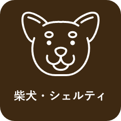 犬服のサイズについて 犬服 ドックウェアcalulu カルル