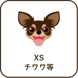 size_xs