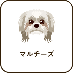 size_m