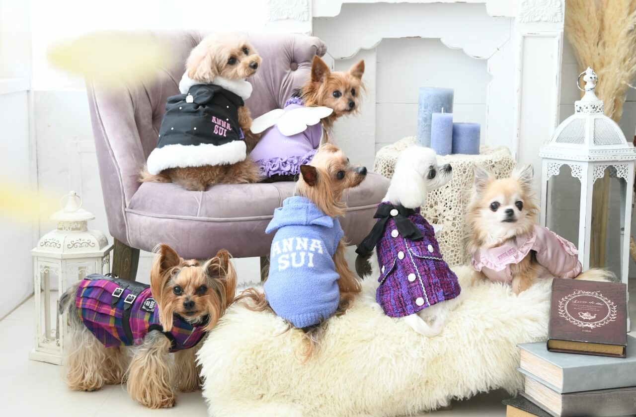 ANNA SUI（アナ スイ）
