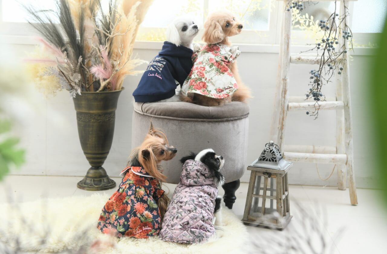 LAURAASHLEY（ローラ アシュレイ）