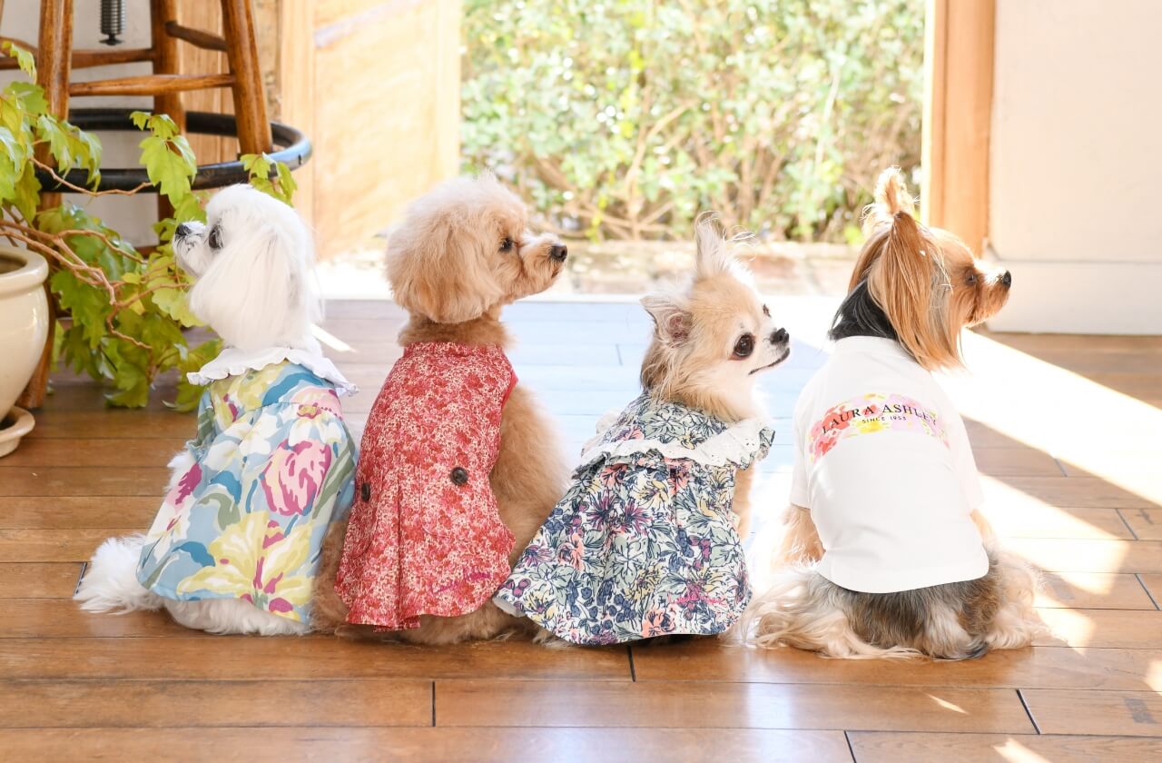 LAURAASHLEY(ローラ アシュレイ)