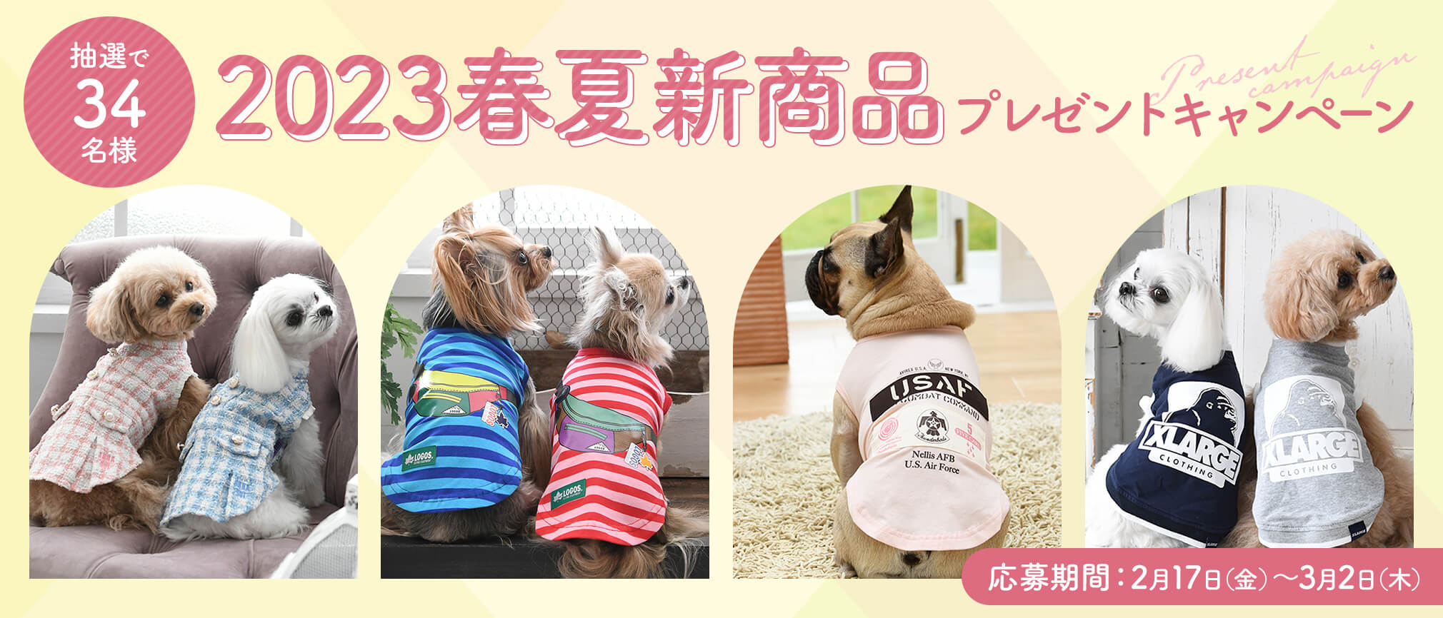 2023春夏新商品プレゼントキャンペーン