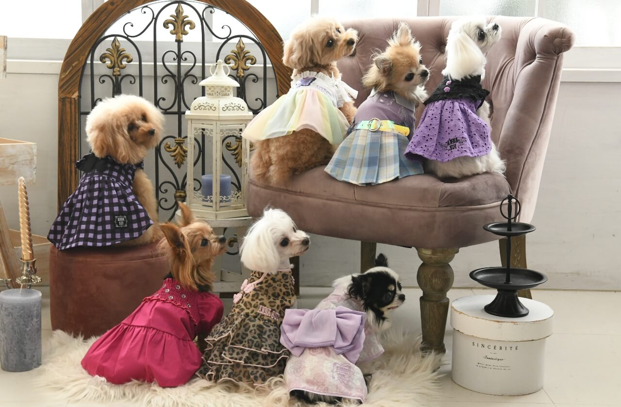 ANNA SUI（アナ スイ）
