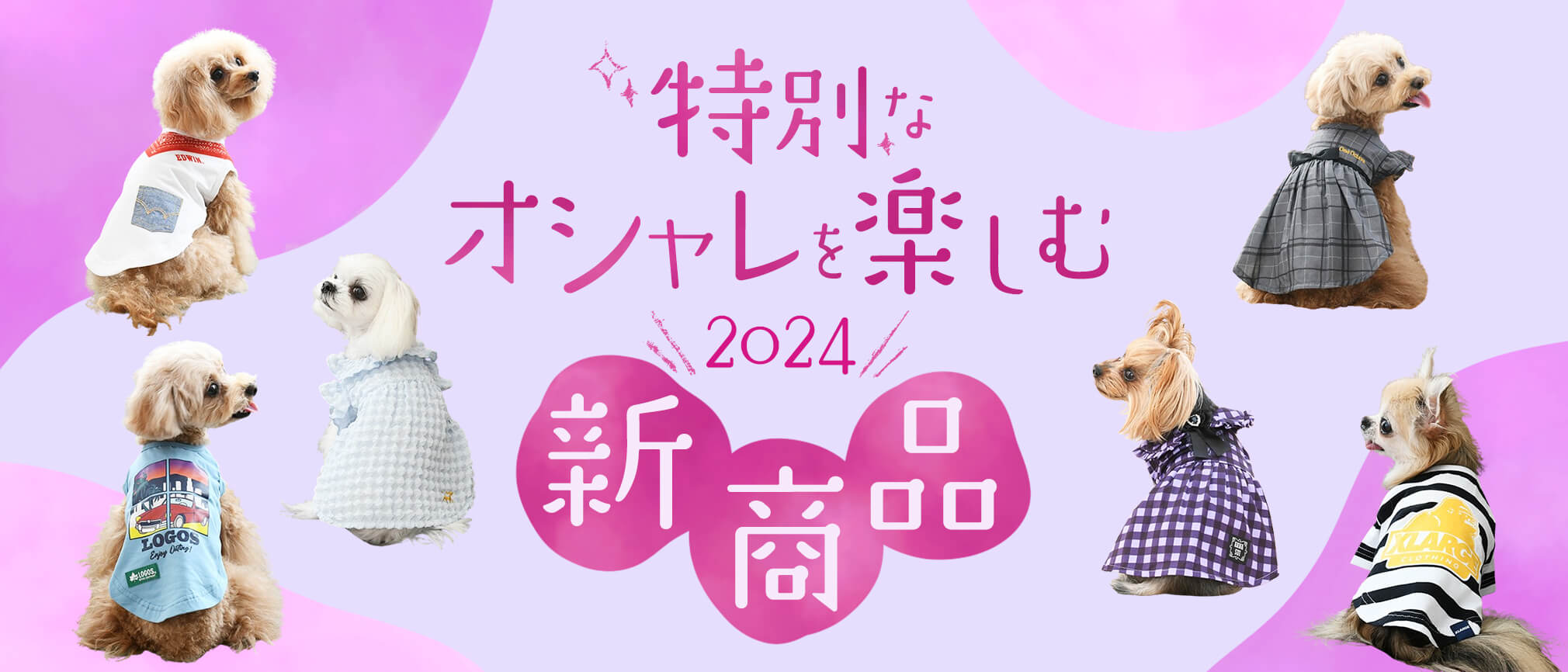 24年春夏新作アイテムの先行予約販売開始
