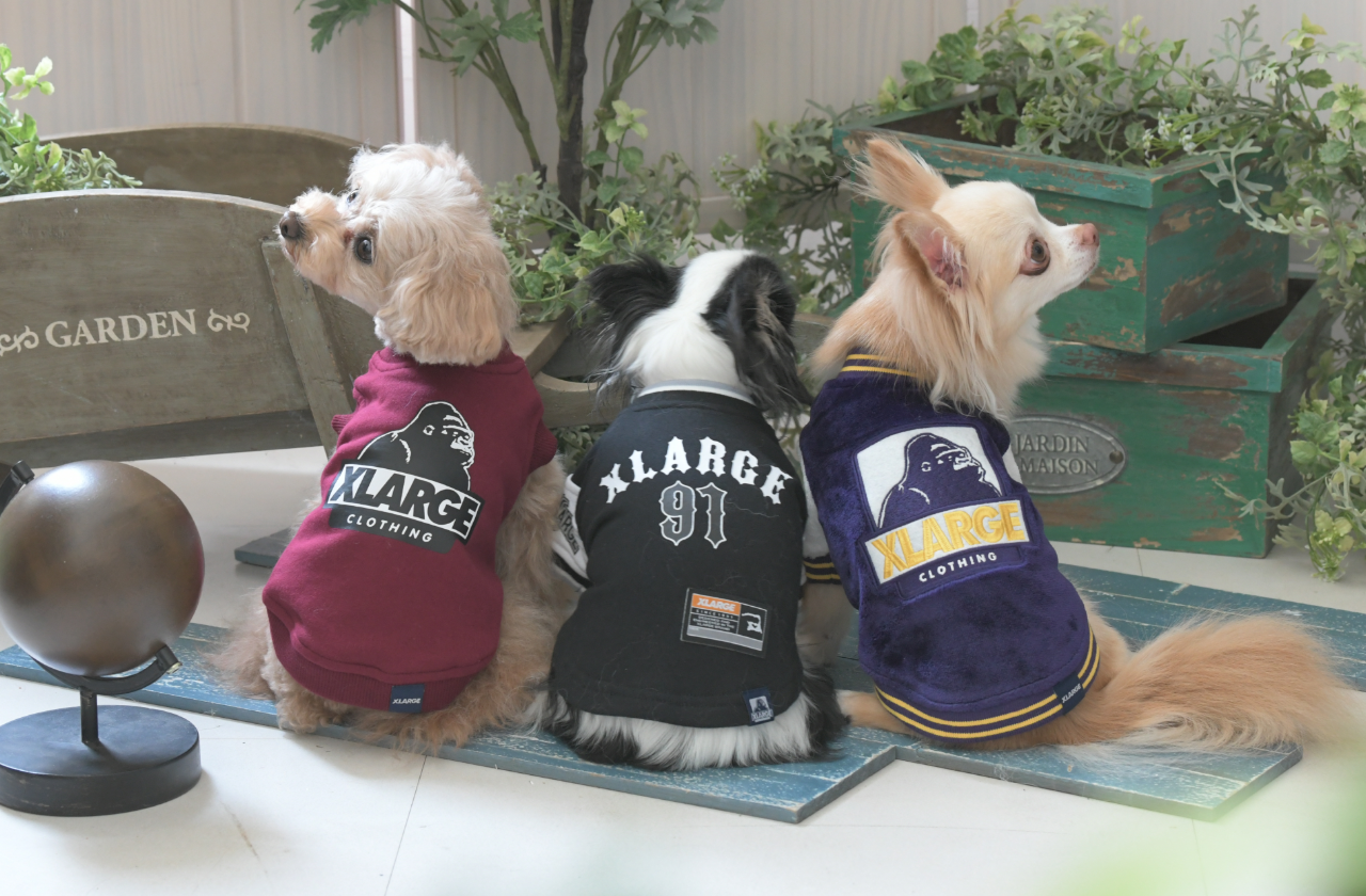 XLARGE(エクストララージ)