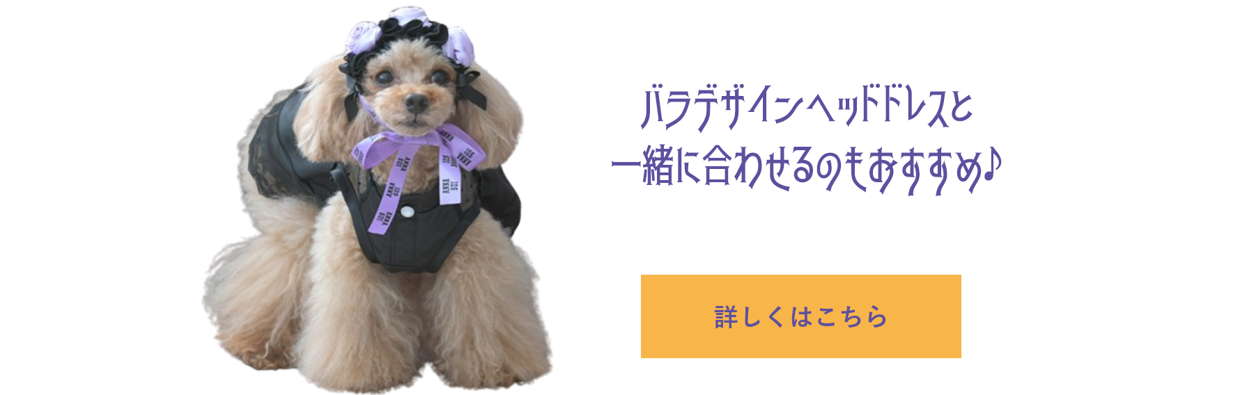 ANNA SUI(アナ スイ)バラデザインヘッドドレス