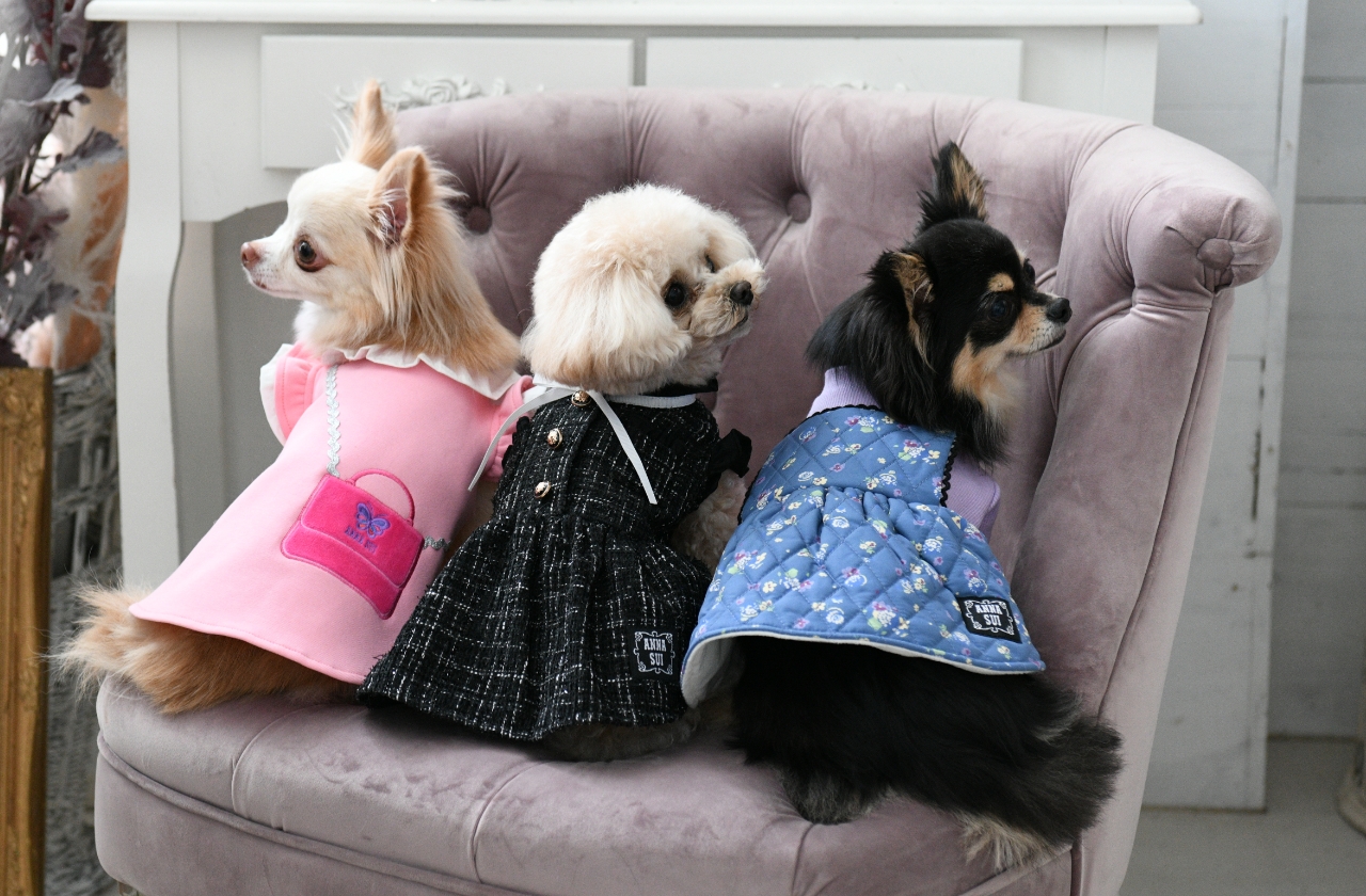 ANNA SUI（アナ スイ）