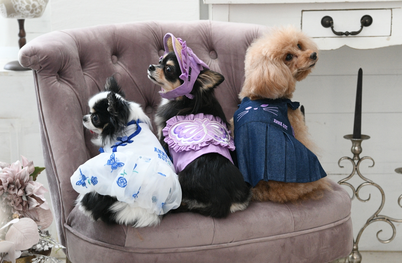 ANNA SUI（アナ スイ）