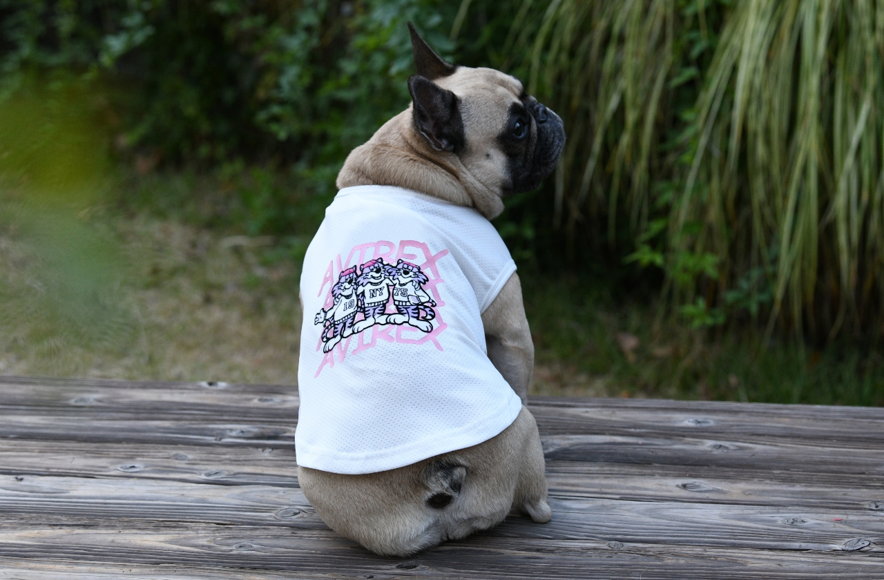 AVIREX（アヴィレックス）