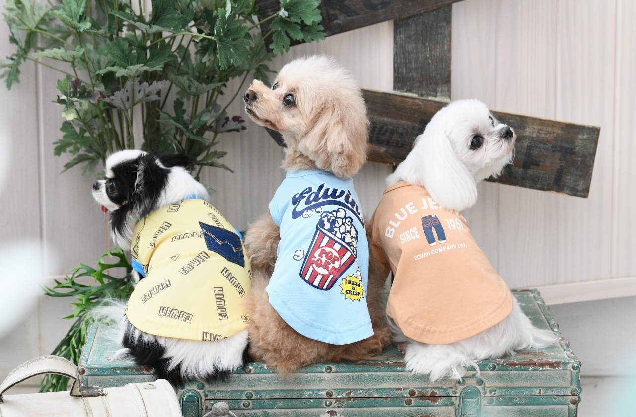 EDWIN（エドウィン）