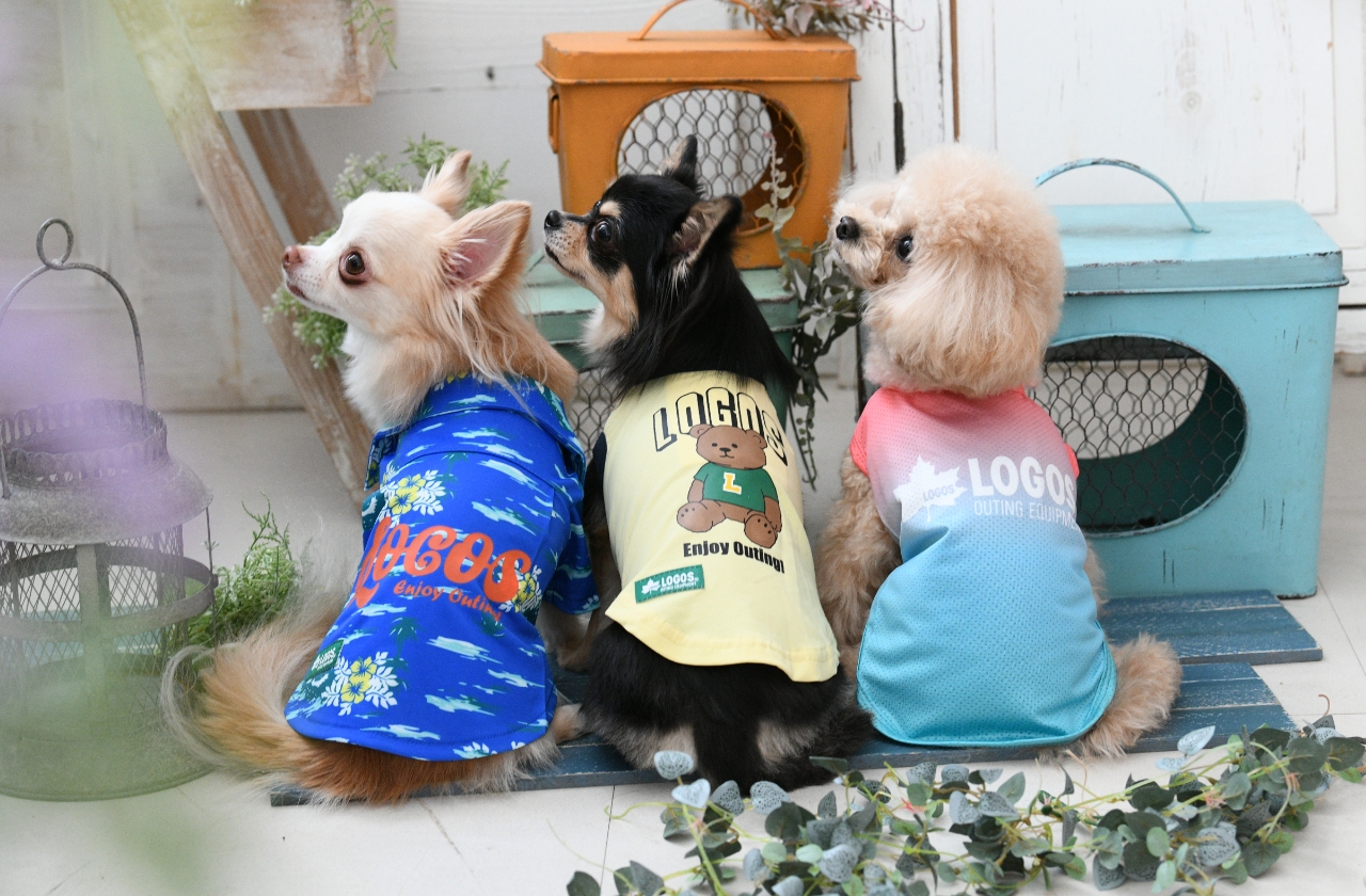 LOGOS（ロゴス）