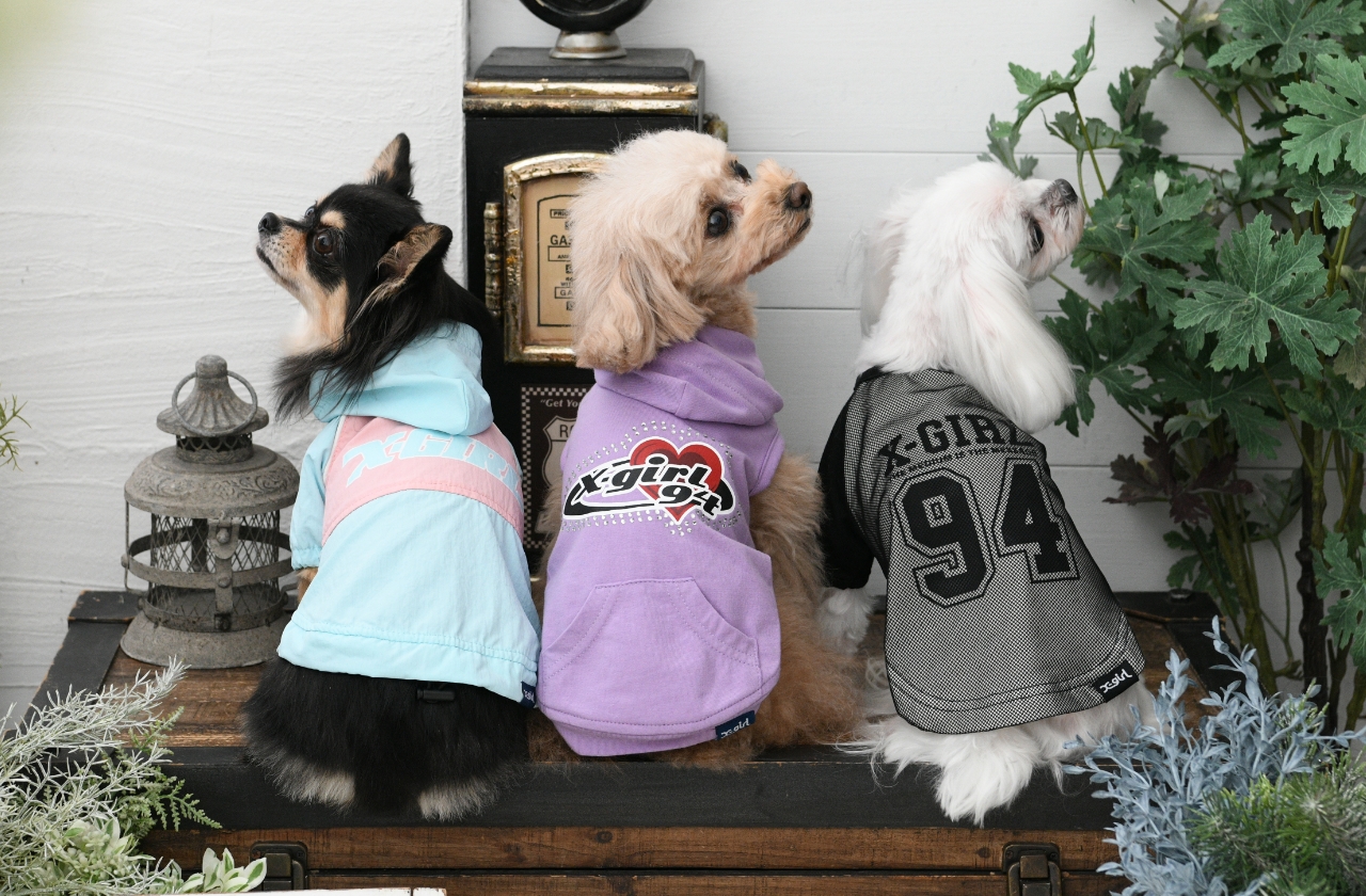 X-GIRL（エックスガール）