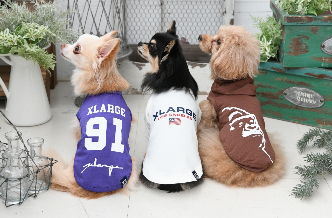 XLARGE（エクストララージ）