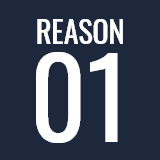 REASON 01