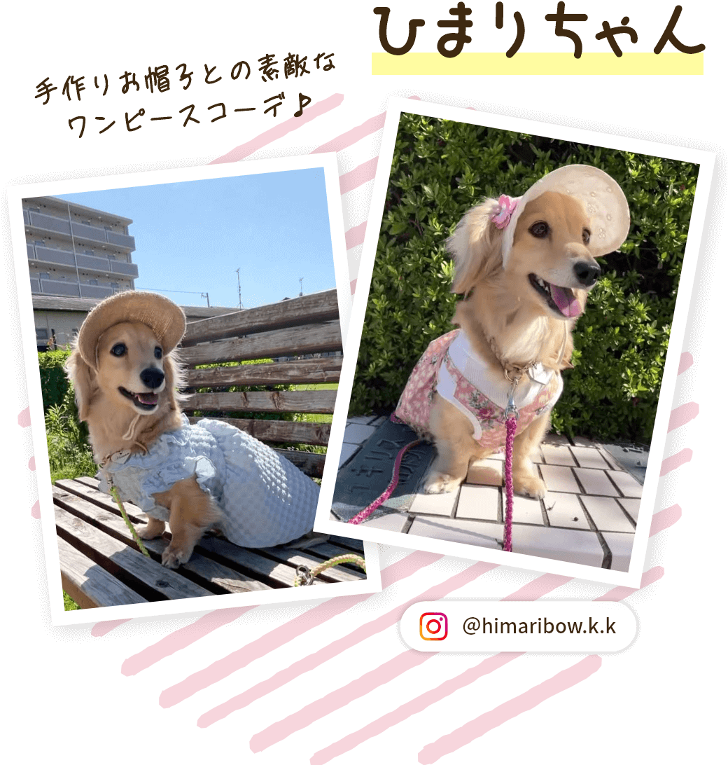 ひまりちゃん
