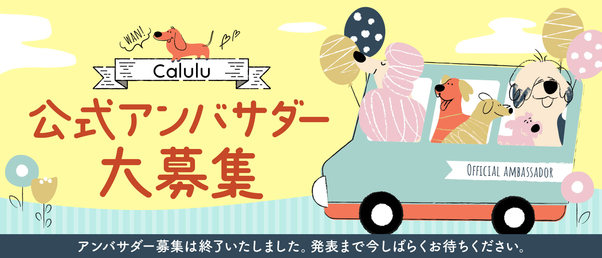 Calulu公式 アンバサダー大募集